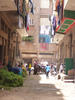 Rue abritant plusieurs élevages de bufflesses dans un quartier du Caire. © Cirad, Annabelle Daburon 