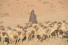 Amazir Imgoun, versant sud du Haut Atlas, Maroc. © Ird, Olivier Barrière