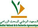 Logo INRA Maroc